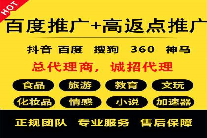 高效百度推广案例解析及优化策略
